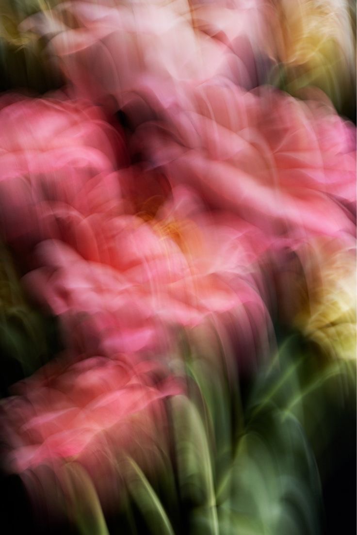 Flores rosas borrosas en movimiento sobre un fondo verde profundo